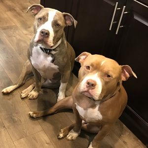 Meet your Posher, Whitnie